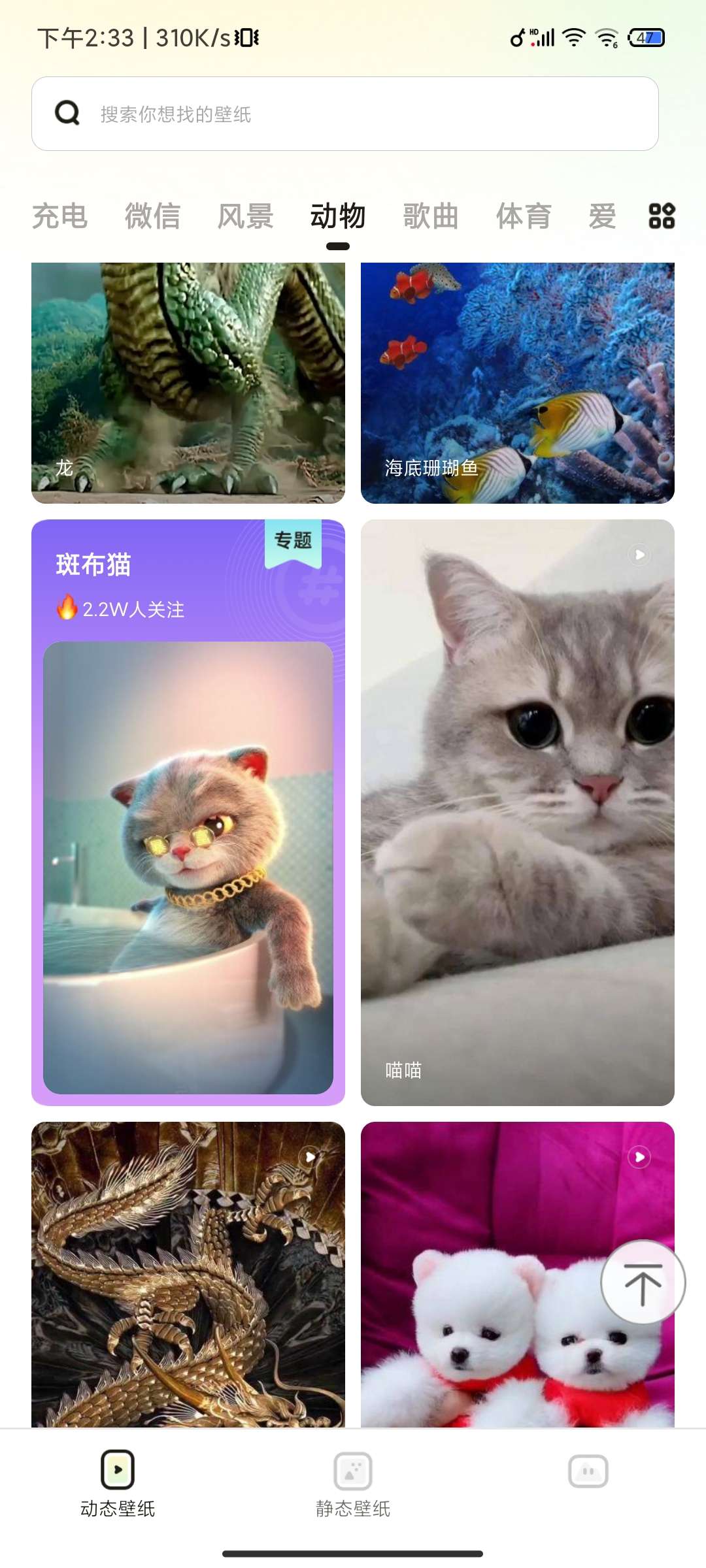 【分享】百变桌面壁纸🔥个性化/透明壁纸！来电彩铃！充电动画！插图4